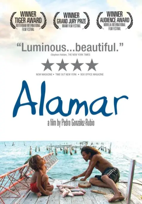 《拥抱大海》：失落的爱与救赎，治愈心灵的静谧蓝色篇章