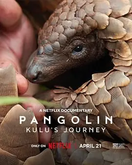 《穿山甲Kulu的旅程》：一部震撼心灵的自然纪录片，揭示濒危物种的生存困境与希望